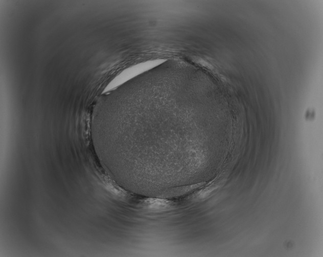 X0000097900528200803281342