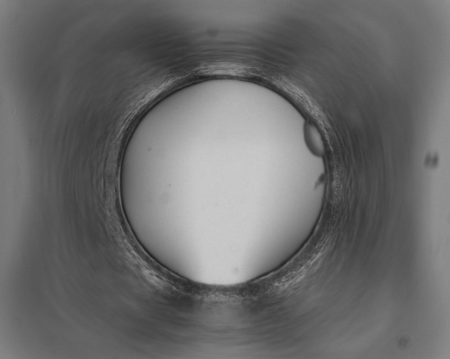 X0000097900529200803281341