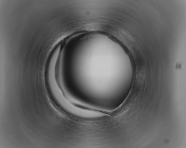 X0000097900530200803281341