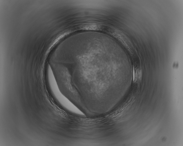 X0000097900531200803281341