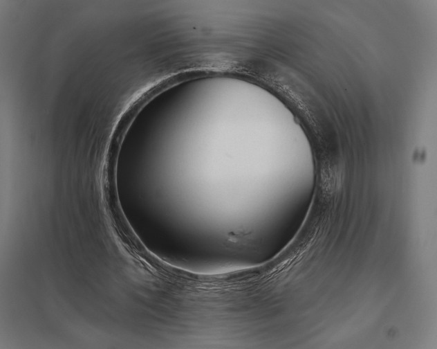 X0000097900532200803281341