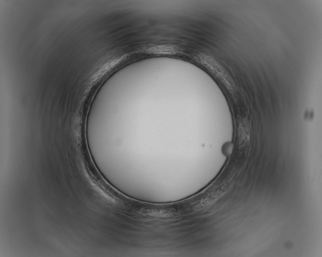 X0000097900533200803281341