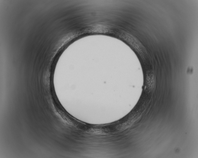 X0000097900534200803281341