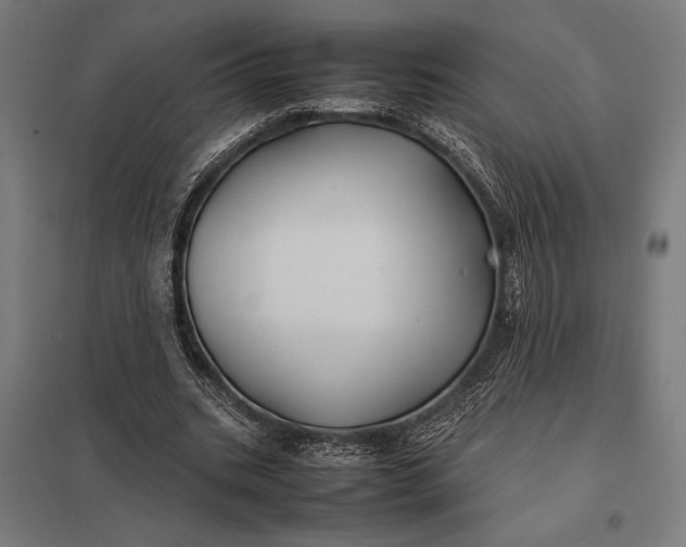 X0000097900535200803281341