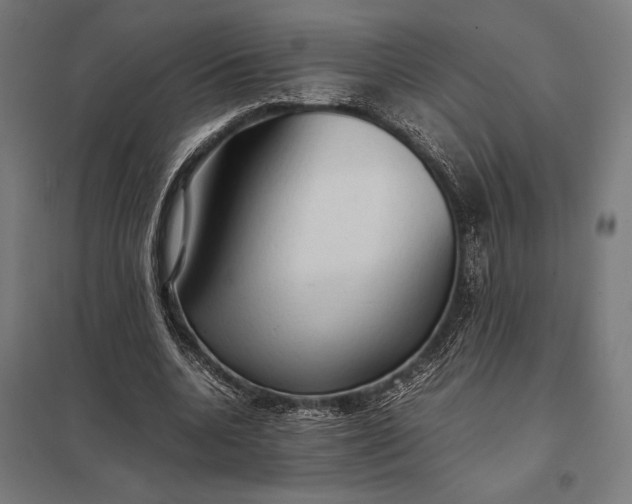 X0000097900536200803281341