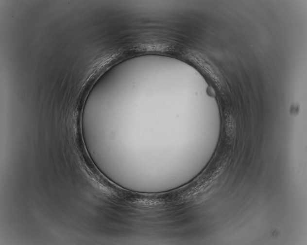 X0000097900537200803281341