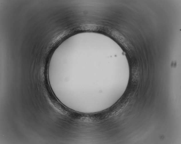 X0000097900538200803281341