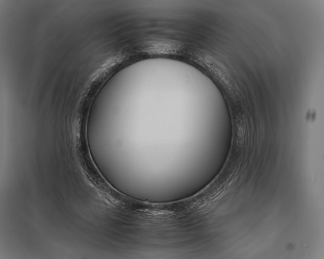 X0000097900539200803281341