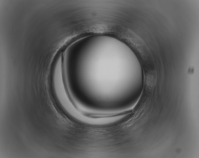 X0000097900540200803281341