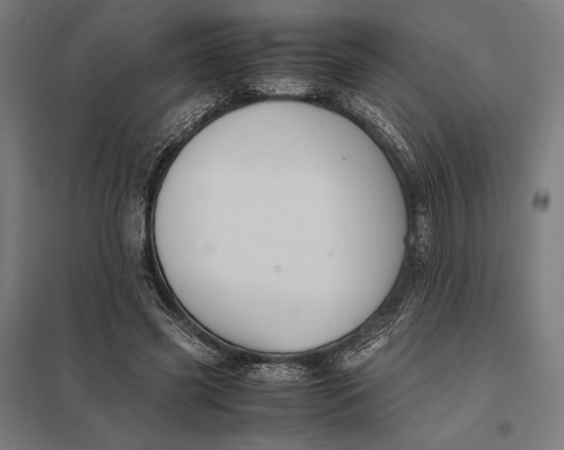 X0000097900541200803281341