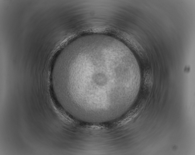 X0000097900542200803281341