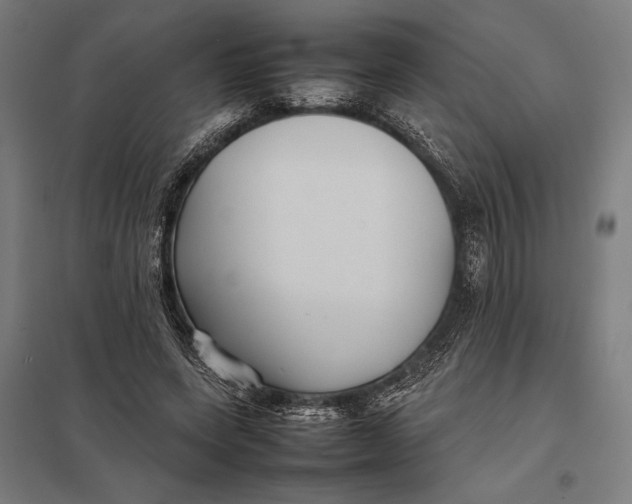 X0000097900543200803281341