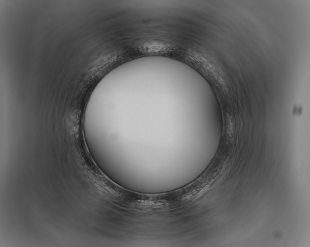 X0000097900545200803281341