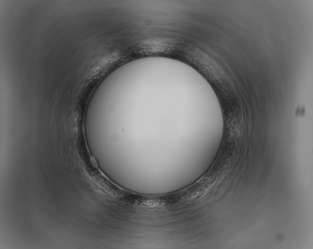 X0000097900546200803281341