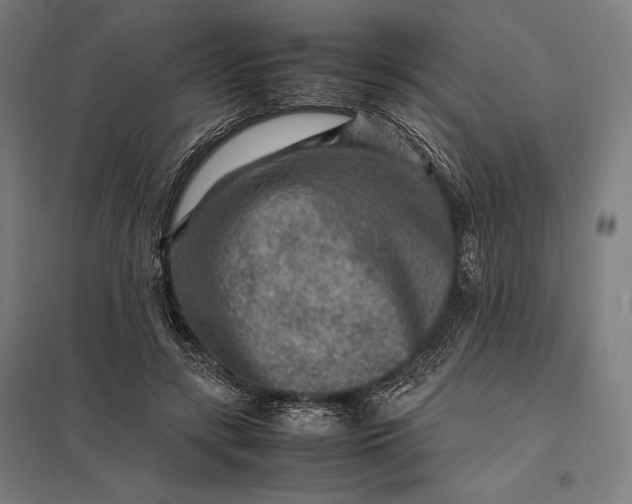 X0000097900547200803281341