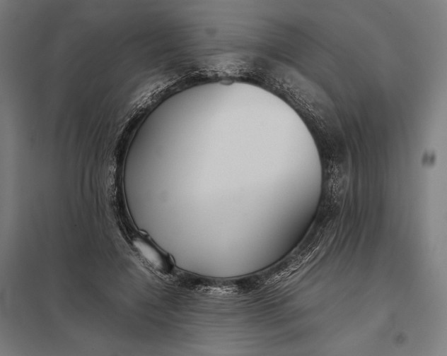 X0000097900548200803281341