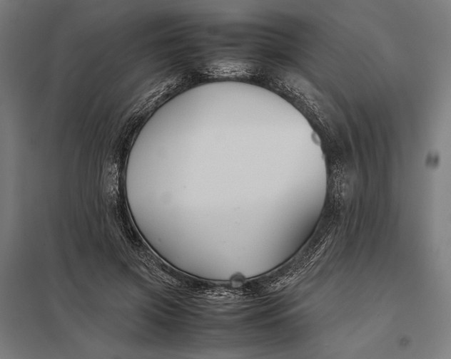 X0000097900549200803281341