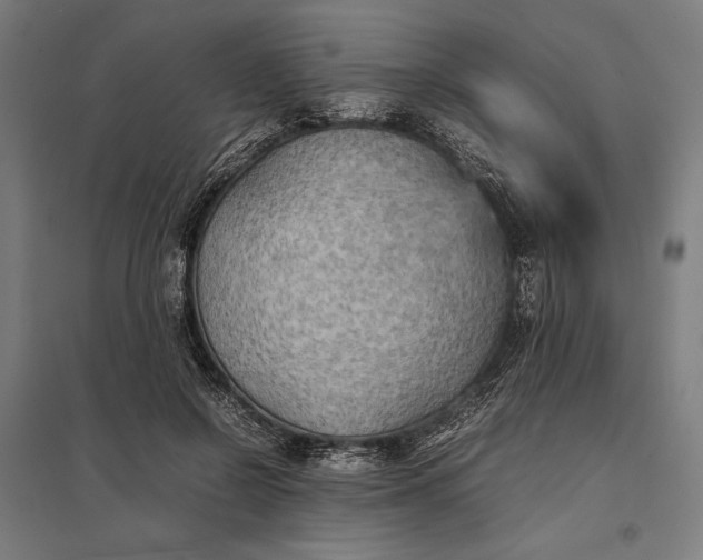 X0000097900550200803281341