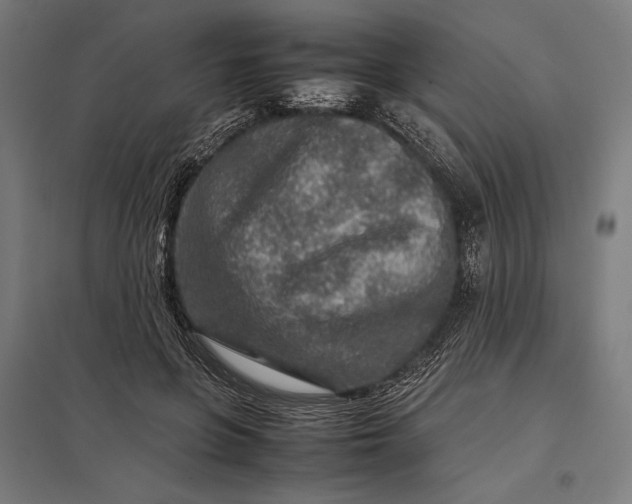 X0000097900551200803281341