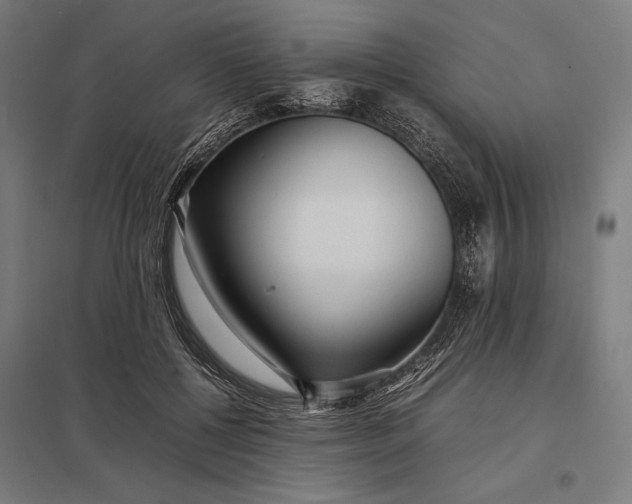 X0000097900552200803281341