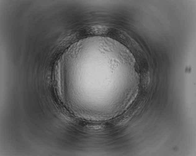 X0000097900553200803281341