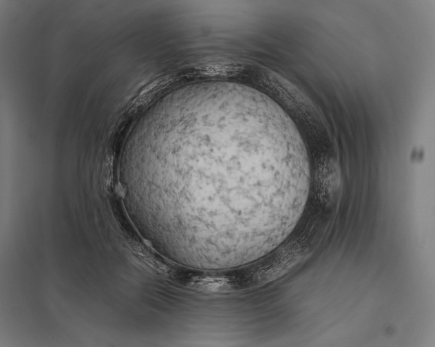 X0000097900554200803281341