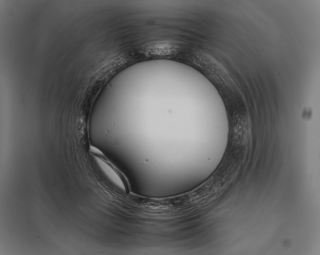 X0000097900555200803281341