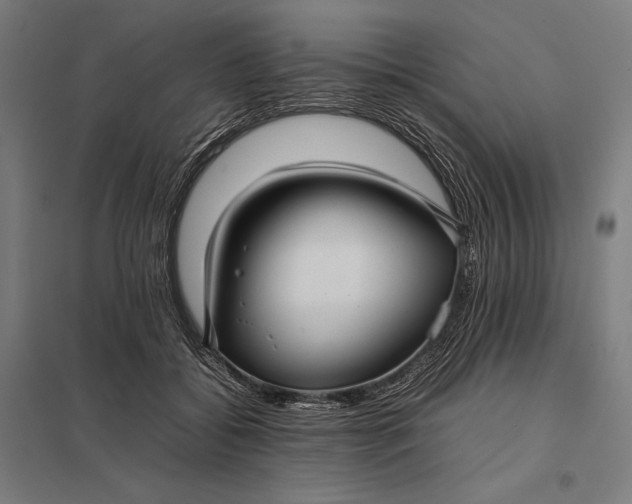 X0000097900556200803281341