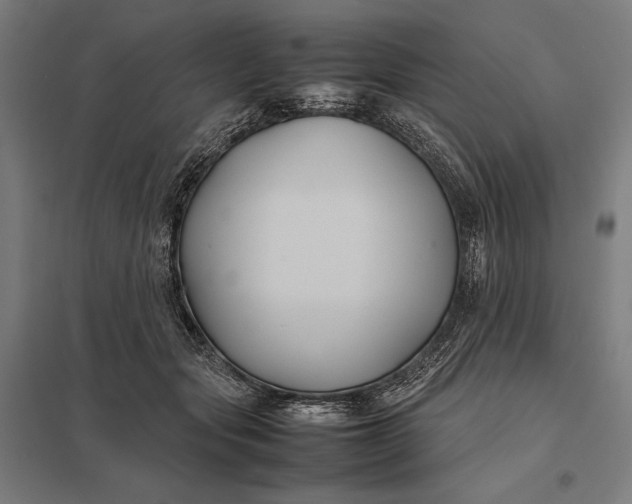 X0000097900557200803281341