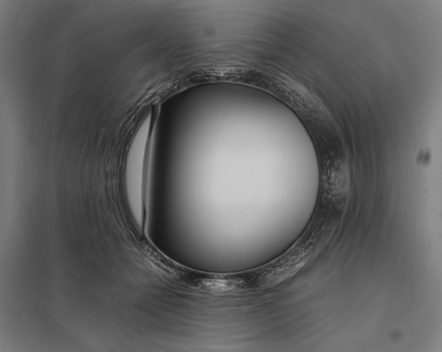 X0000097900558200803281341