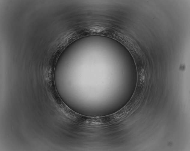 X0000097900559200803281341