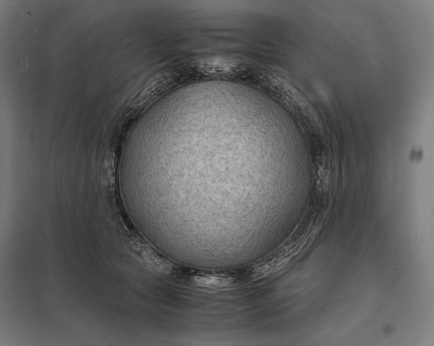 X0000097900561200803281341