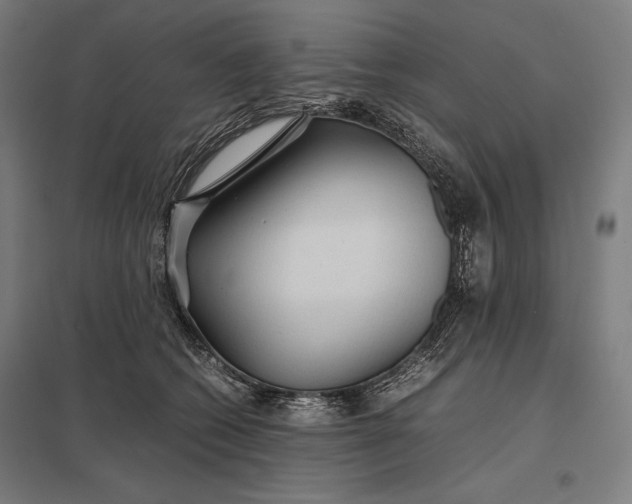 X0000097900562200803281341