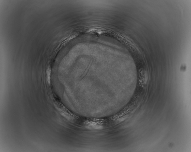 X0000097900563200803281341