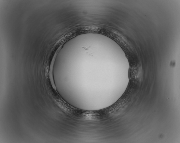 X0000097900564200803281341