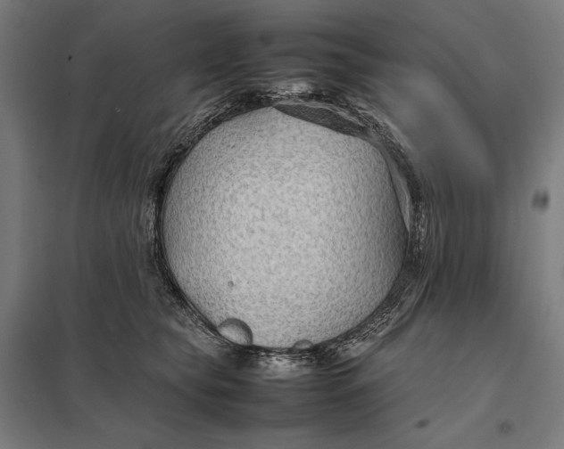 X0000097900565200803281341