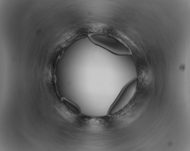 X0000097900566200803281342