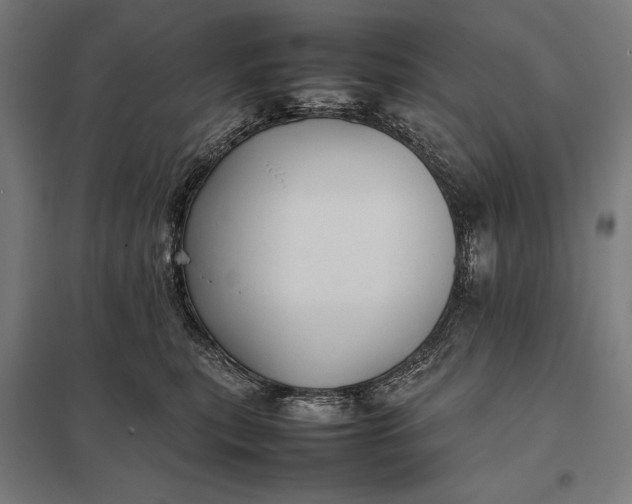 X0000097900567200803281342