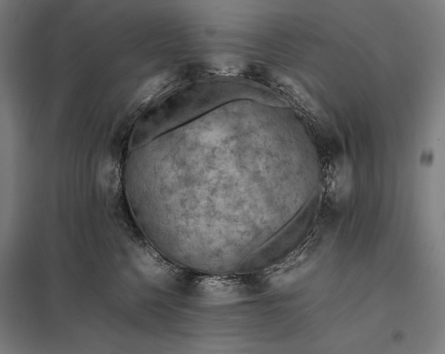 X0000097900568200803281342