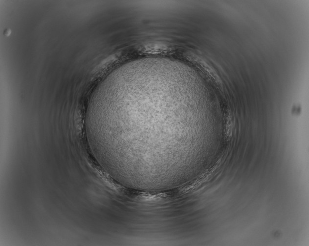 X0000097900569200803281342