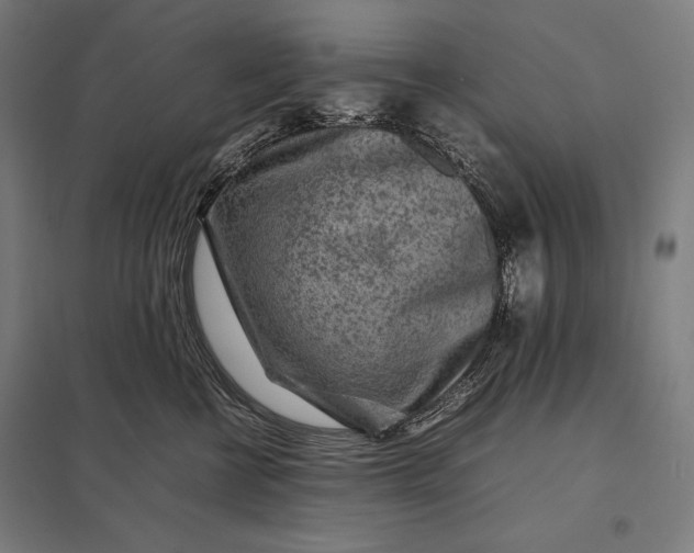 X0000097900570200803281342