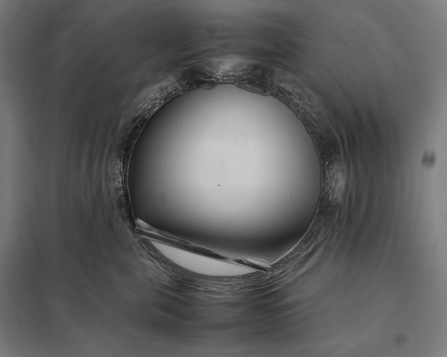 X0000097900571200803281342