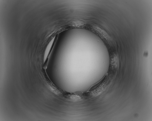 X0000097900572200803281342