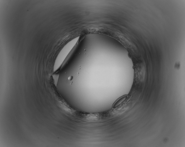 X0000097900574200803281342