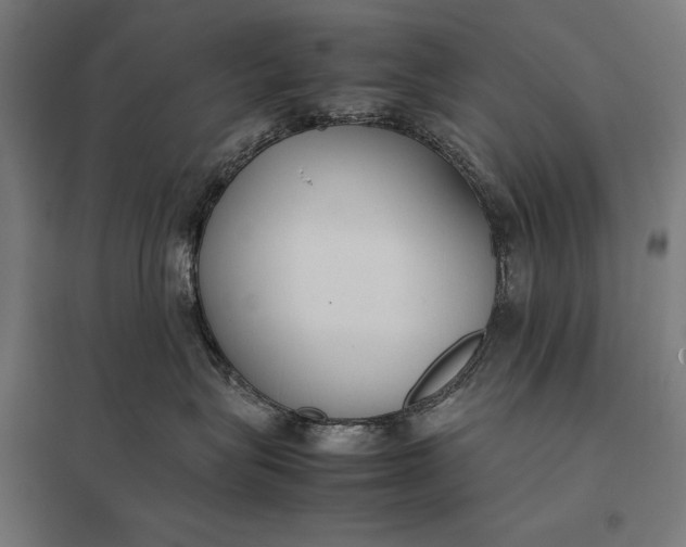 X0000097900575200803281342