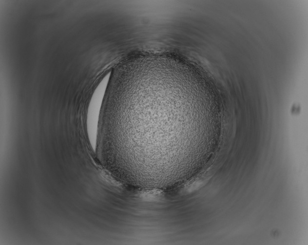 X0000097900576200803281342