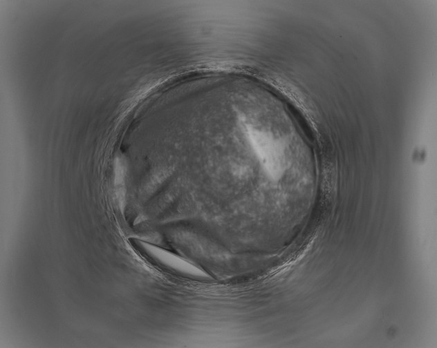 X0000097900577200803281341