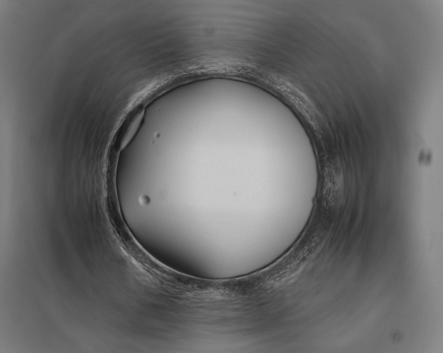 X0000097900578200803281341