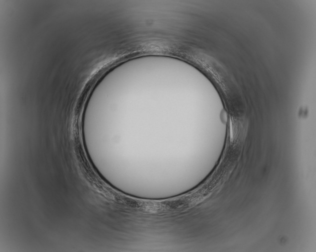 X0000097900579200803281341