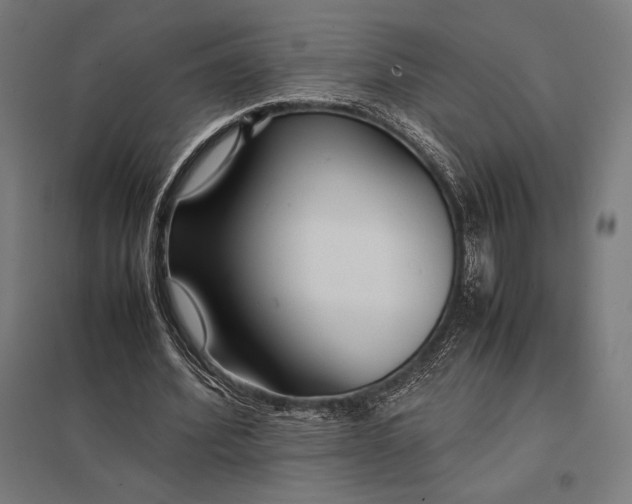 X0000097900580200803281341